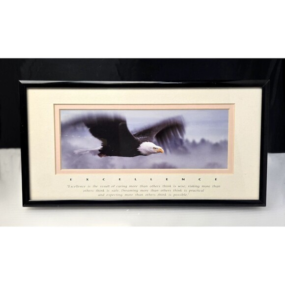 Excellence King Of The Skies Eagle Framed Photo Art Frank Oberle Photography - Picture 3 of 13